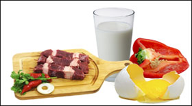 Kost & Näringslära